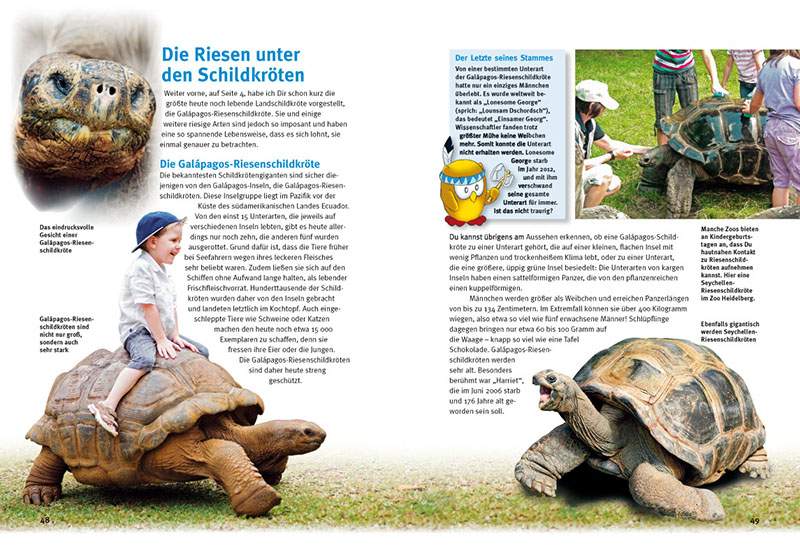 Preview: Entdecke die Schildkröten
